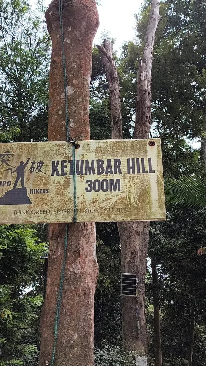 Arrive at Camp