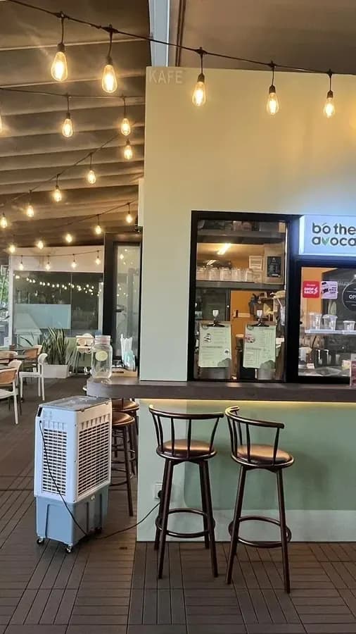 Casual cozy energy at Bo The Avocado photo 2