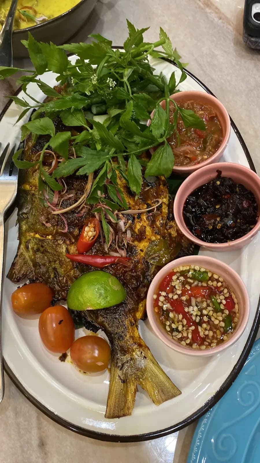 Malaysian finds at LADO