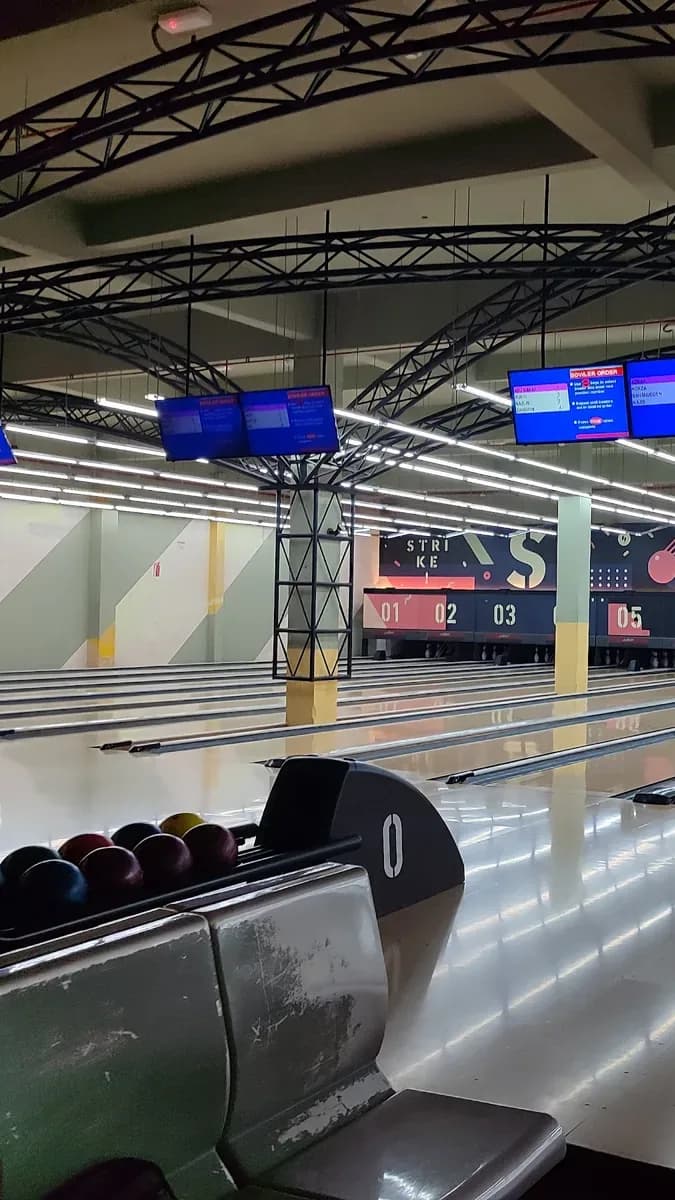 Bowl in Cool Indoor Vibes