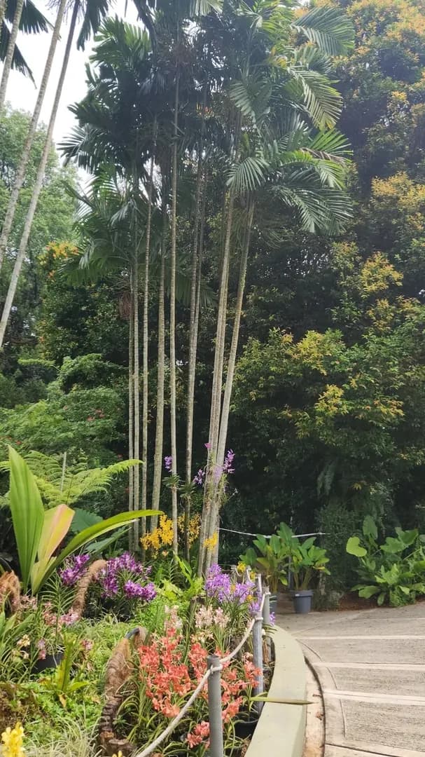 Relaxed Strolls at Perdana Gardens photo 2