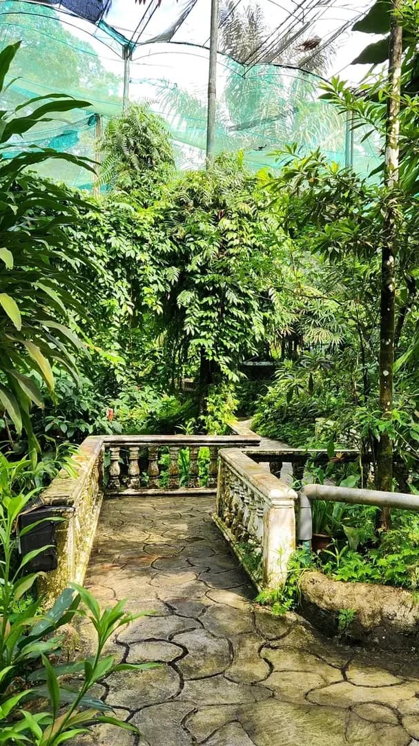 Family Adventure in the Butterfly Garden photo 2