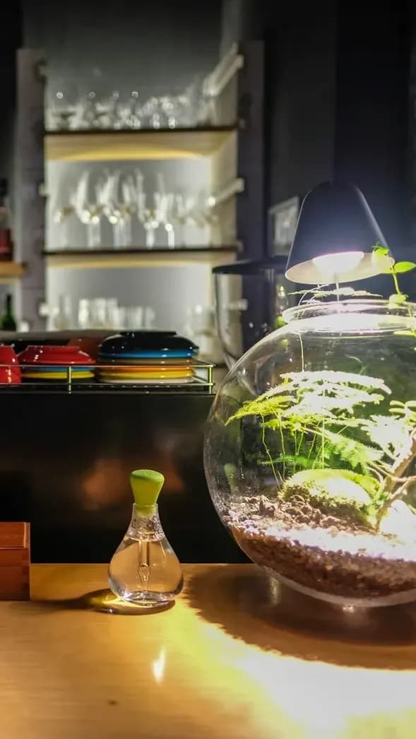 Find a vintage Japanese bar in KL photo 2