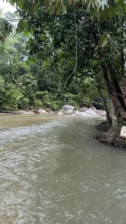 Relax in Nature's Calm