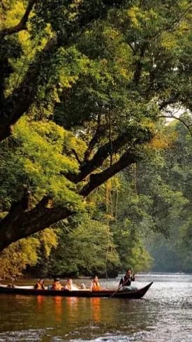 Relaxed Vibes in Open Air Spaces