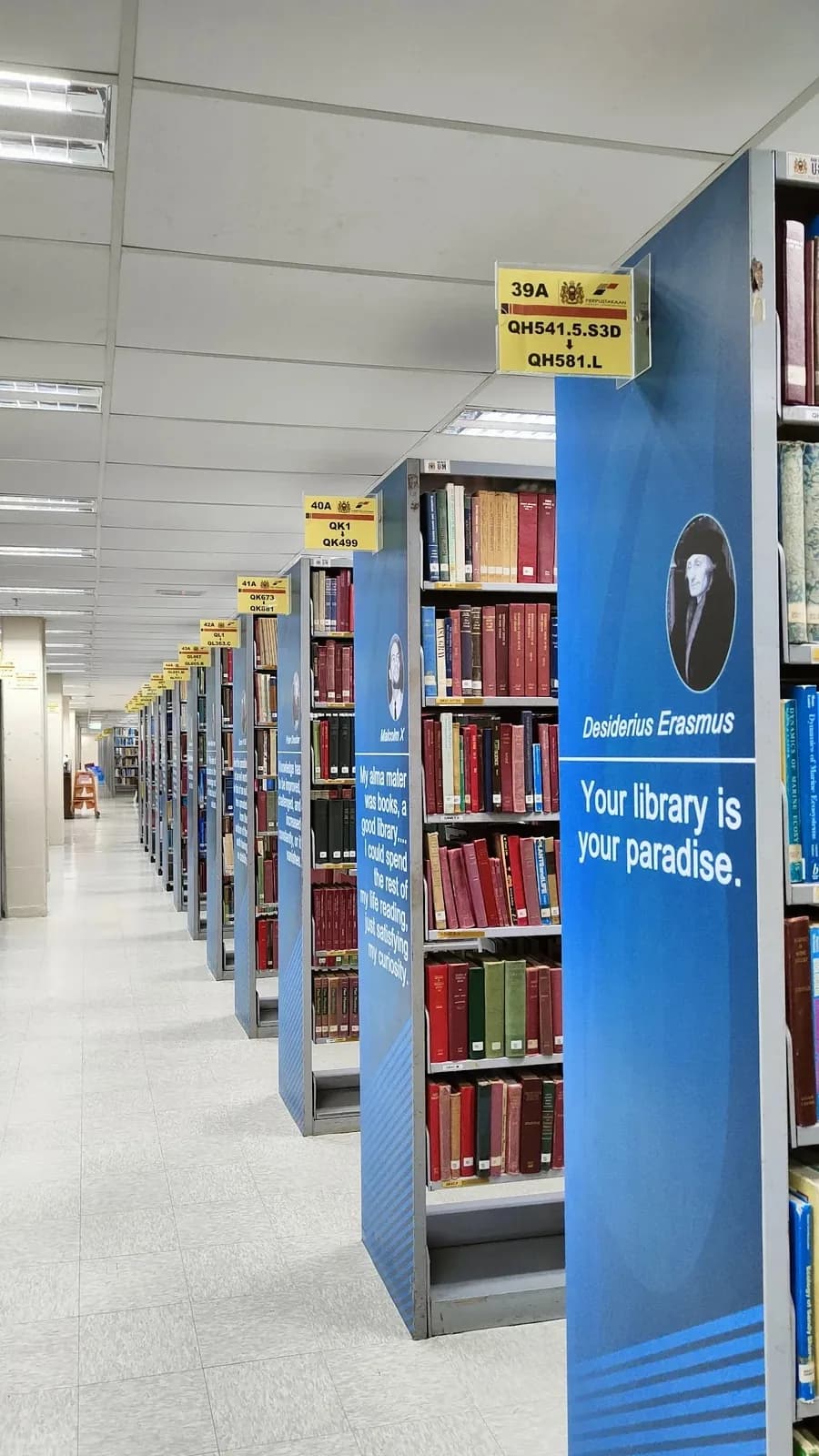 Tranquil Study Haven at USM Library