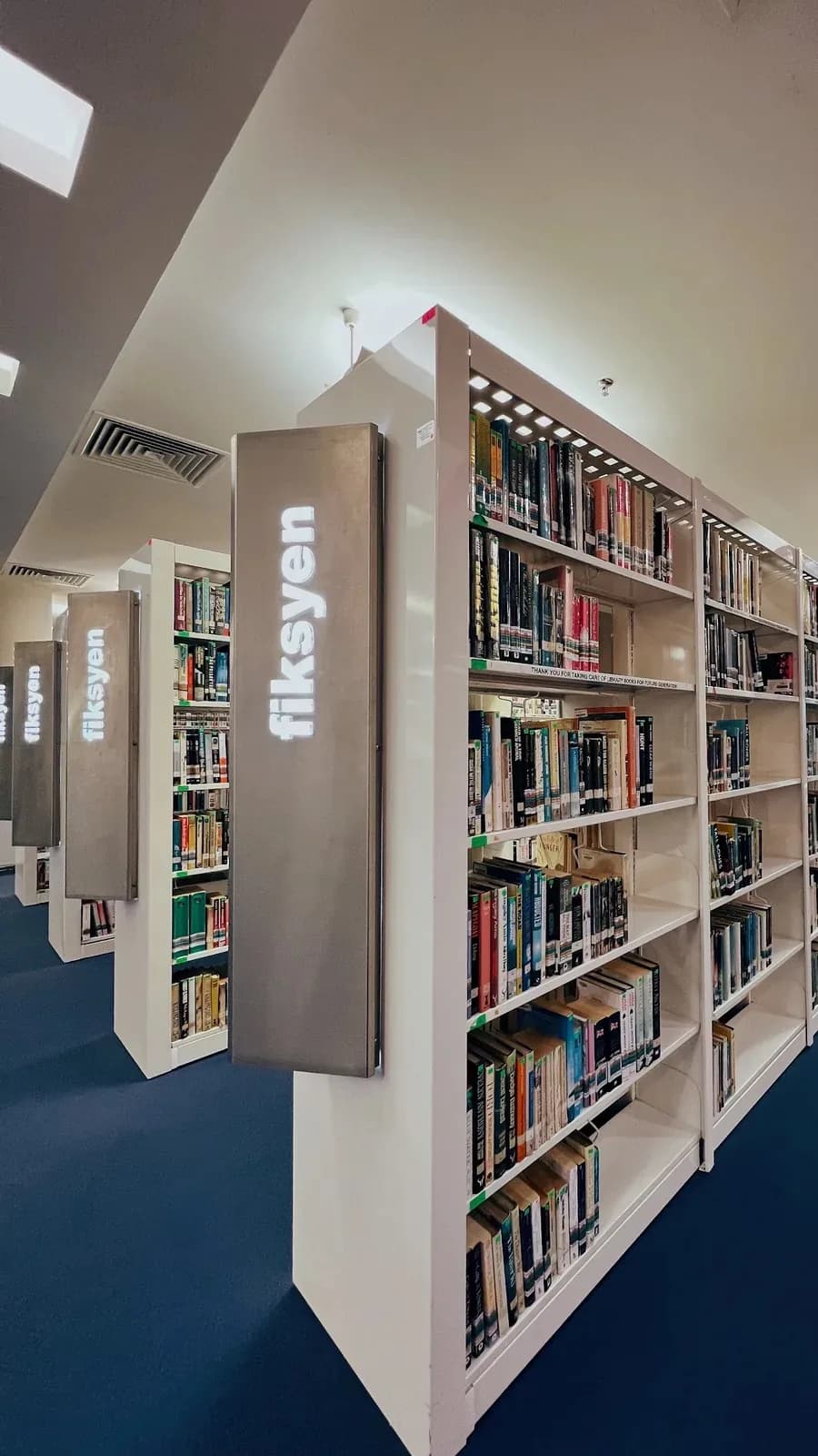 Quiet Moments in a Cozy Library