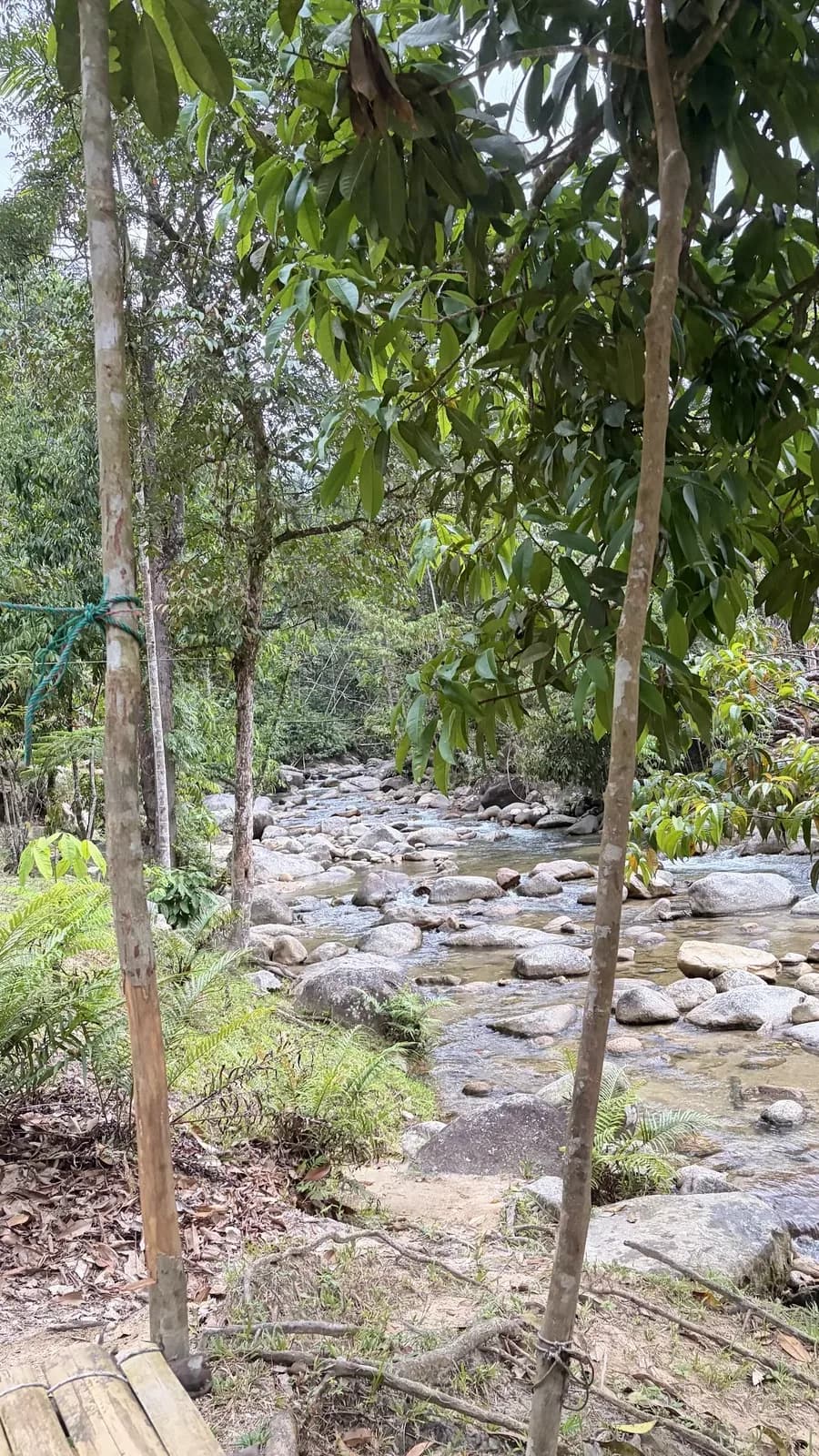 Smell the Fresh Air at Air Luit Pertak