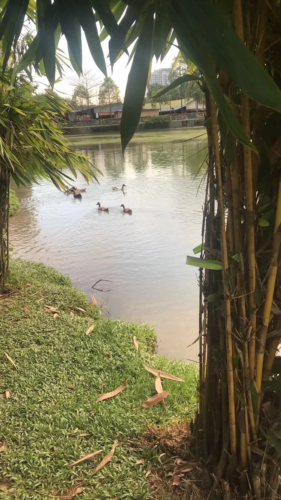 Find Open Spaces in KL