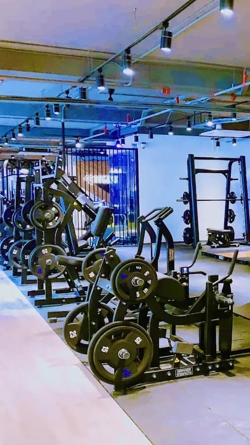 Work Out with Modern Gear photo 2