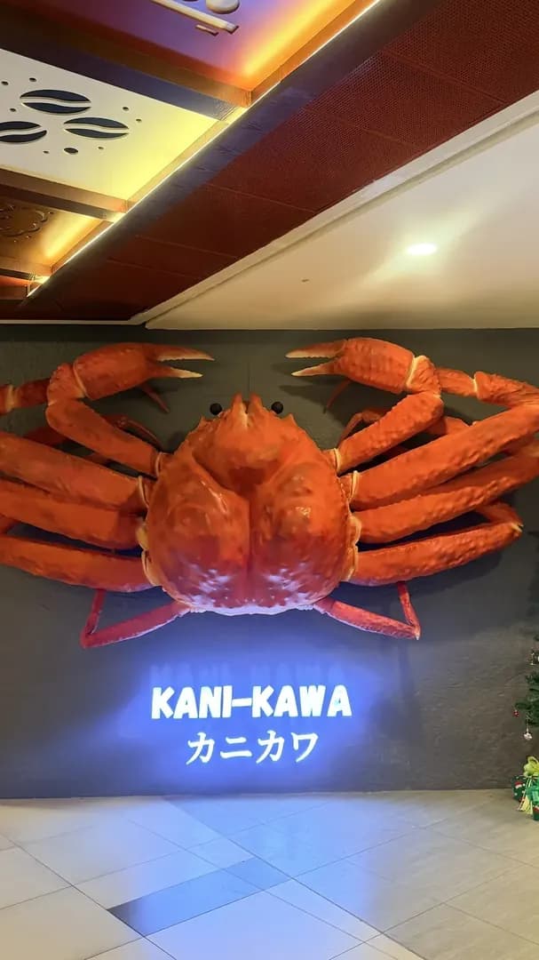 Relax into casual Japanese dining photo 2