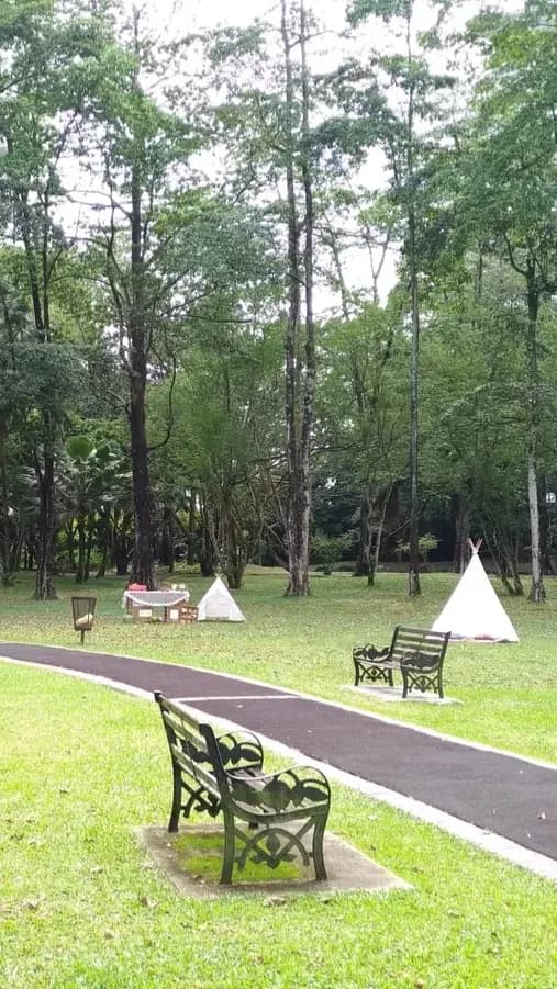 Relaxed vibes fill this outdoor park photo 3