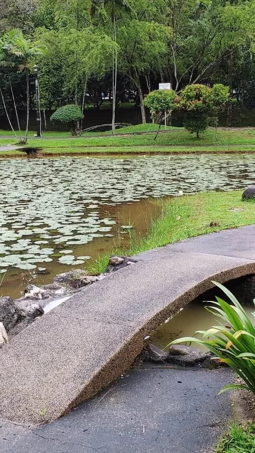 Relaxed vibes fill this outdoor park