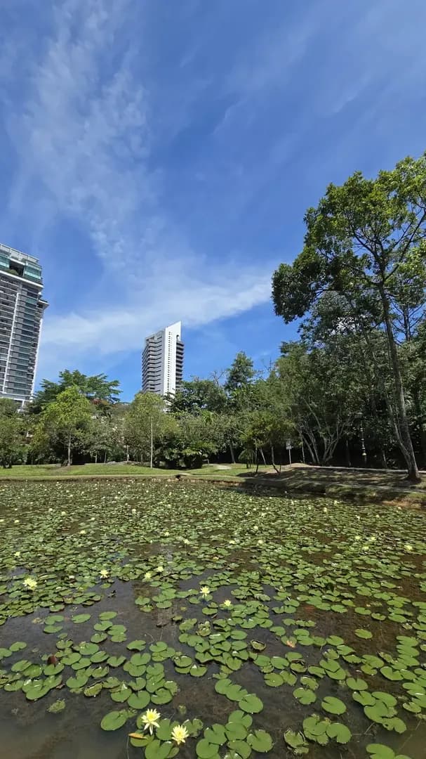 Relaxed vibes fill this outdoor park photo 2