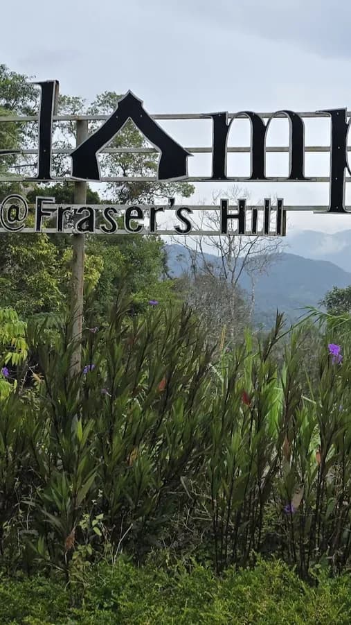 Breathe in Mountain Air