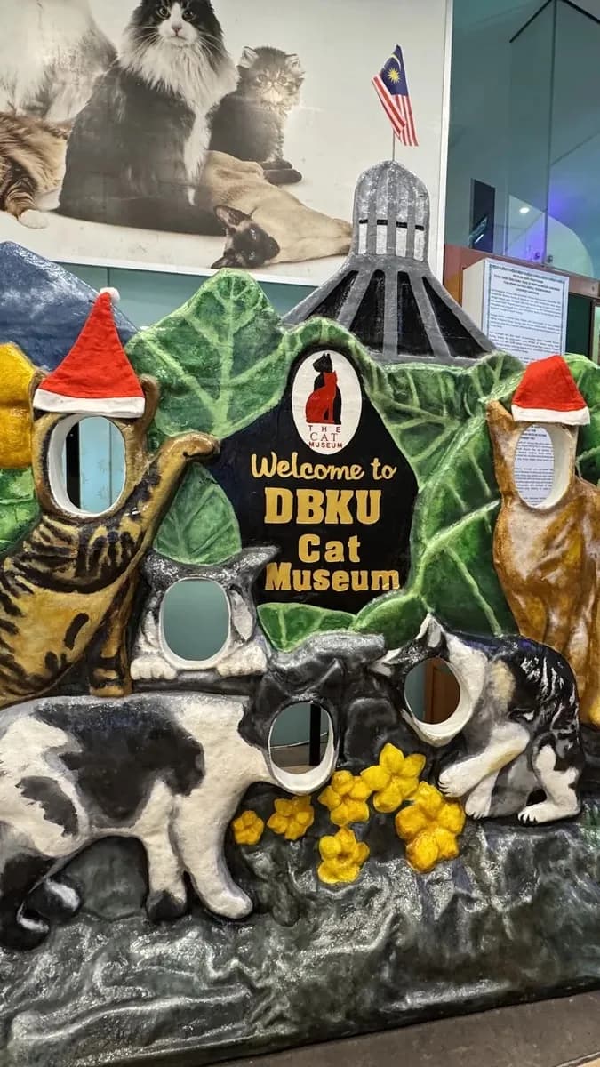 Artistic Cat Displays at the Museum