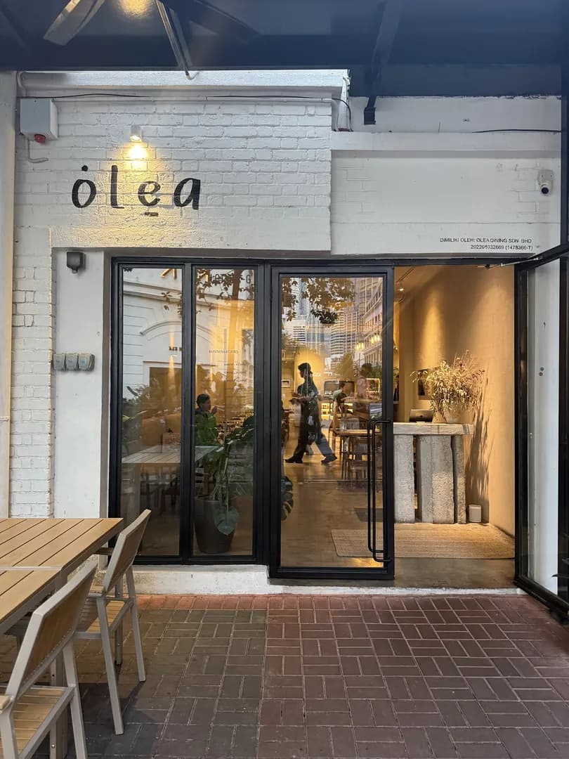 Olea photo 2