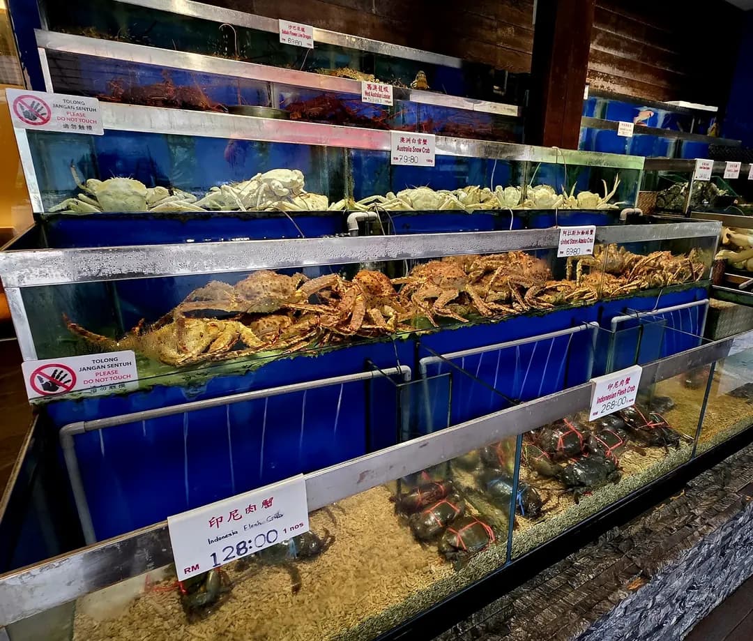 One Seafood Restaurant | 港一活海鮮 photo 2