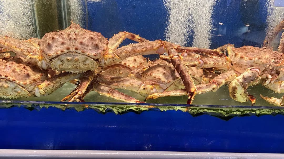One Seafood Restaurant | 港一活海鮮 photo 3