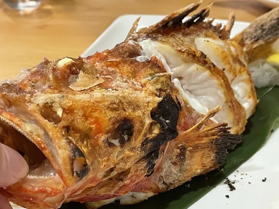 Kirishima Japanese Restaurant photo 3