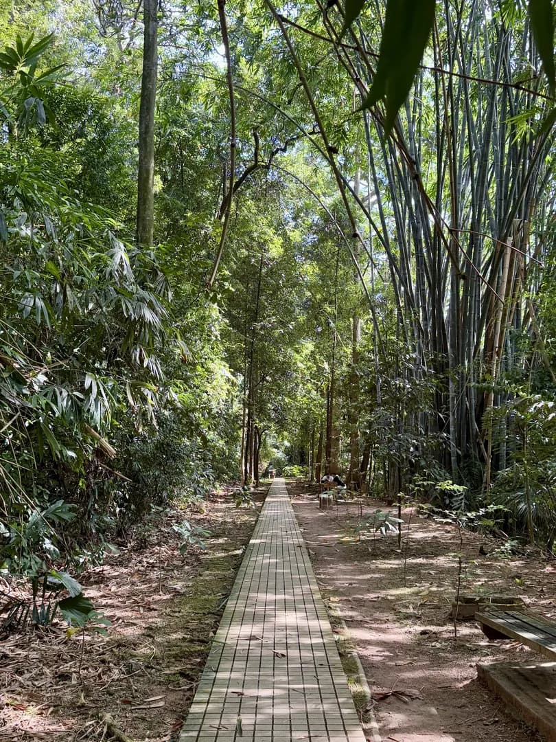 KL Forest Eco Park Canopy Walk photo 2