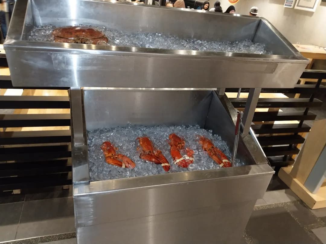 The Manhattan Fish Market Sunway putra Mall photo 2