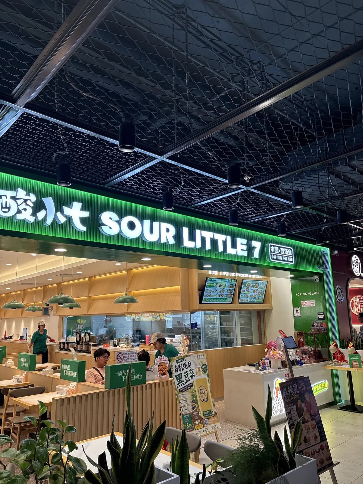 酸小七酸菜鱼 Sour Little Seven