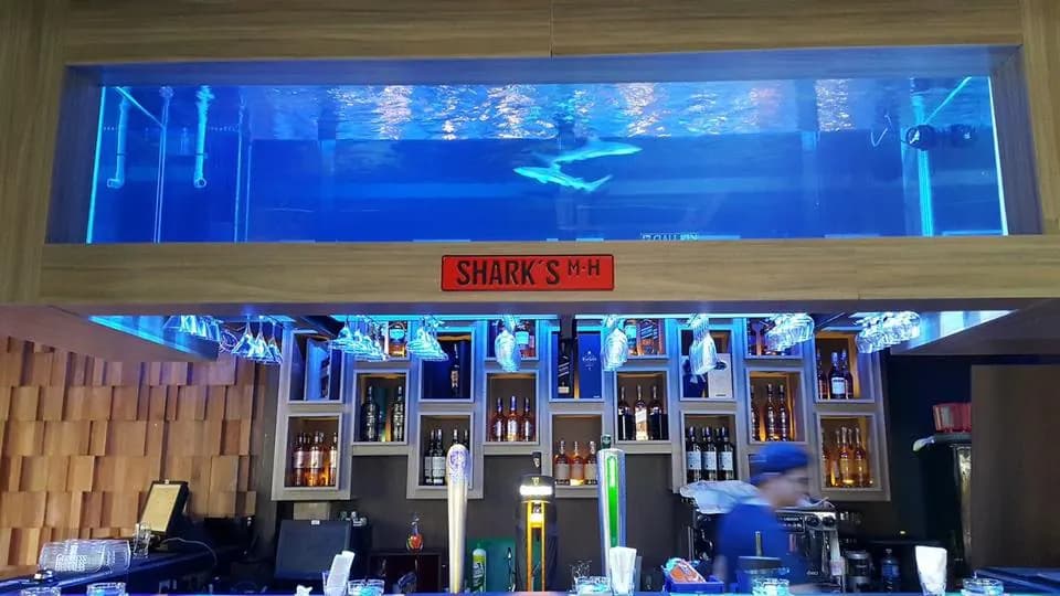 Main Harbour Kitchen + Bar photo 2