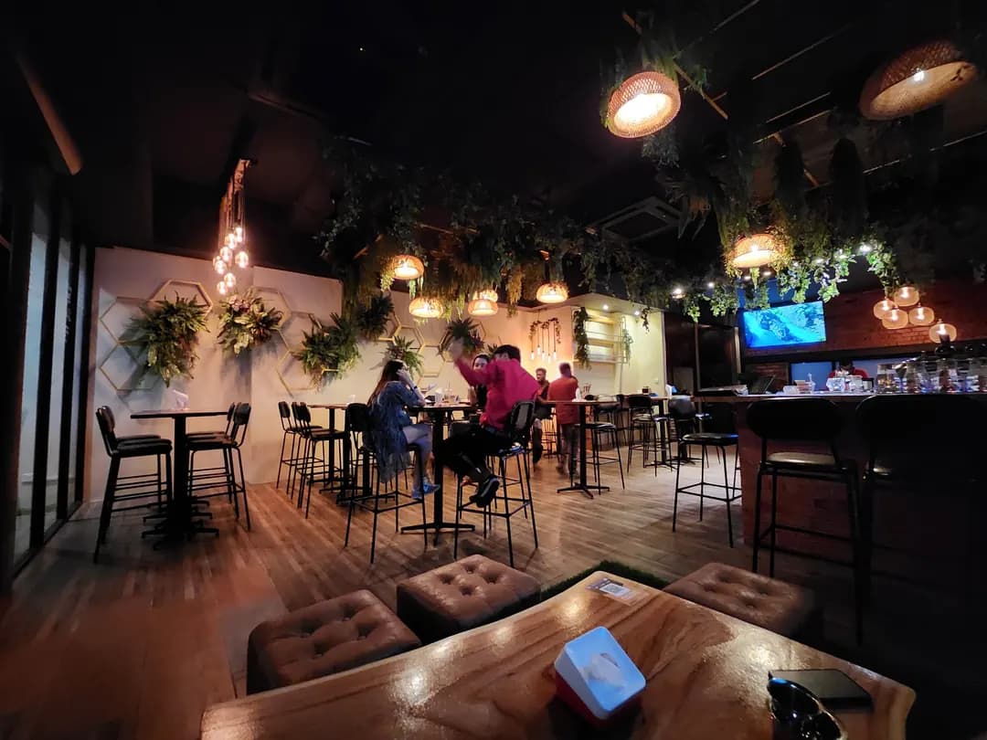 JungleAF Oasis photo 2