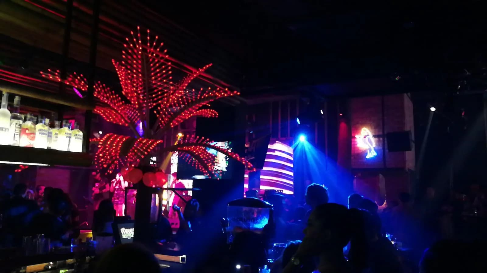 Mango's Tropical Cafe TREC
