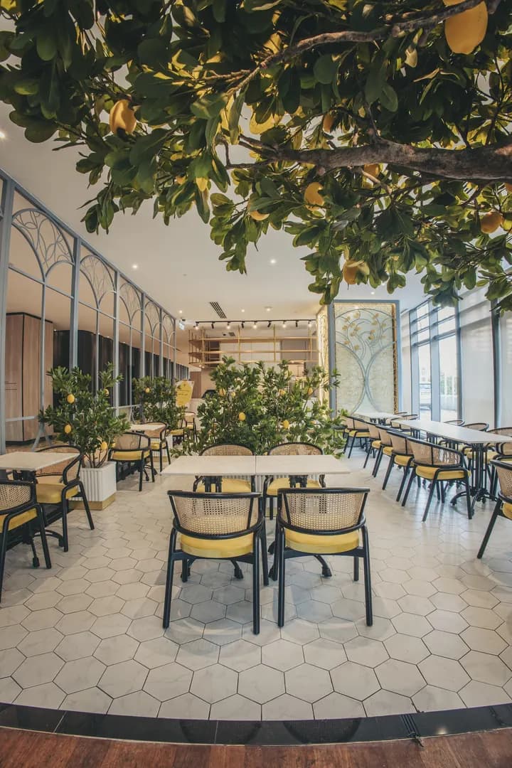 The Lemon Tree photo 2