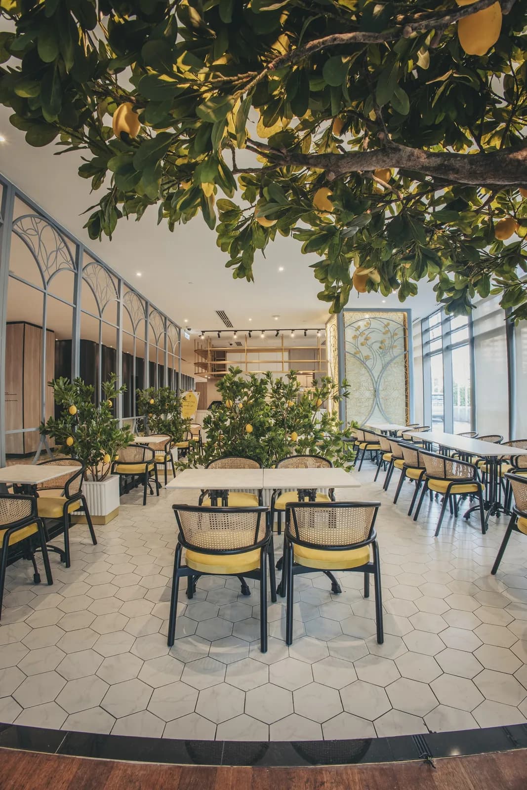The Lemon Tree