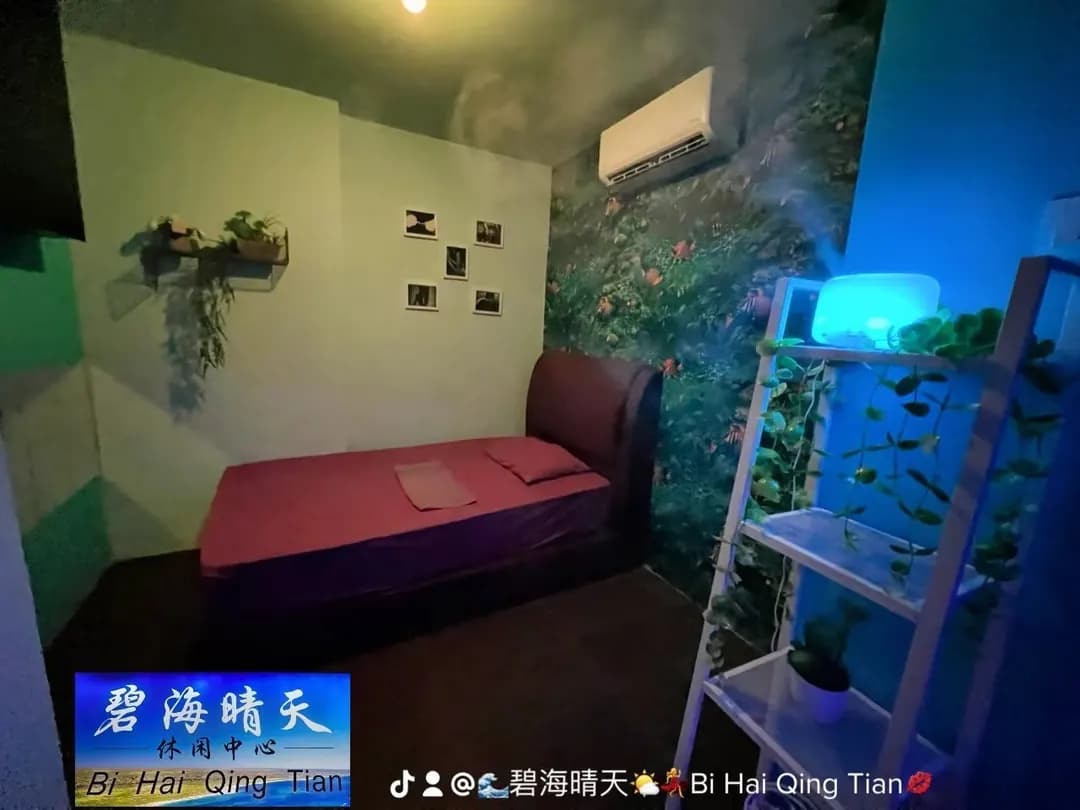 BI HAI QING TIAN photo 3