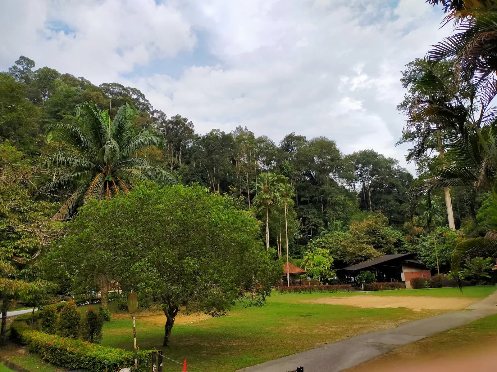 FRIM Camping Area