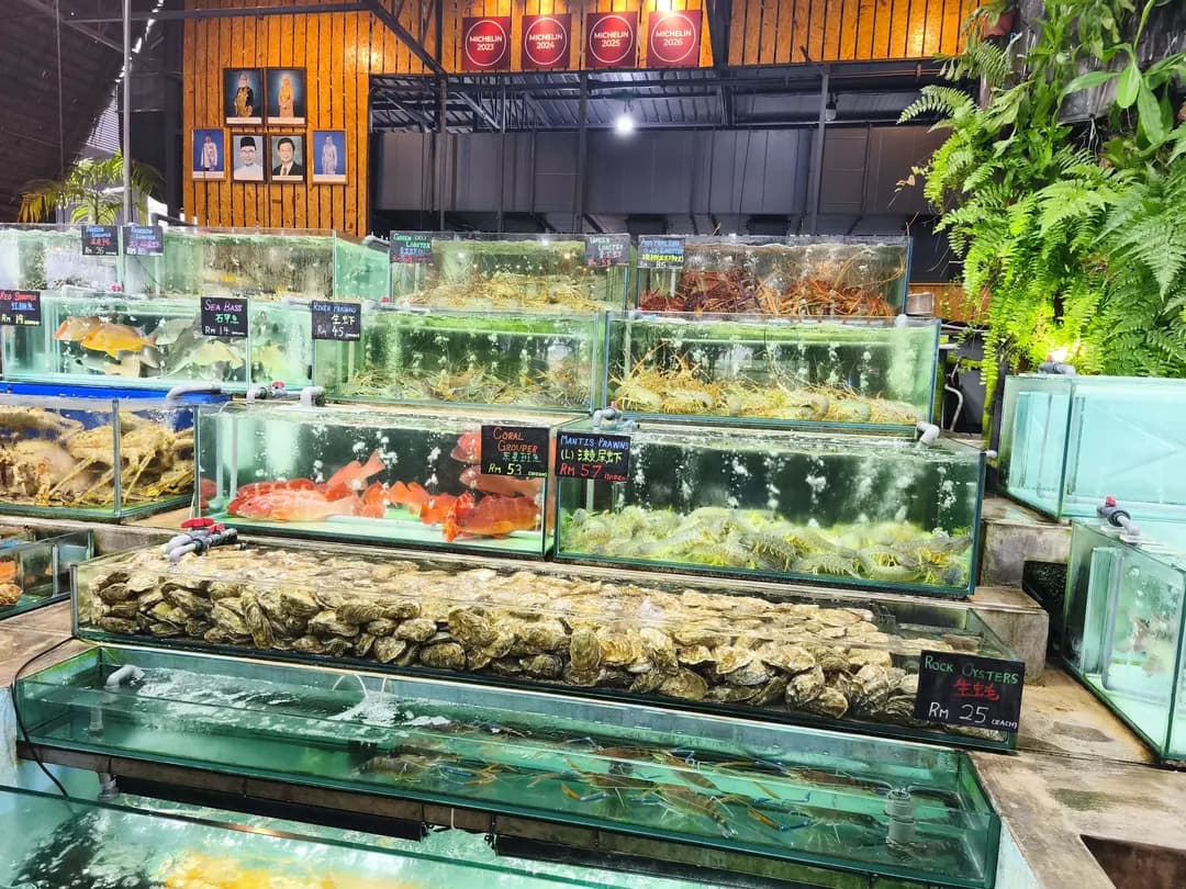Bali Hai Seafood Market photo 3