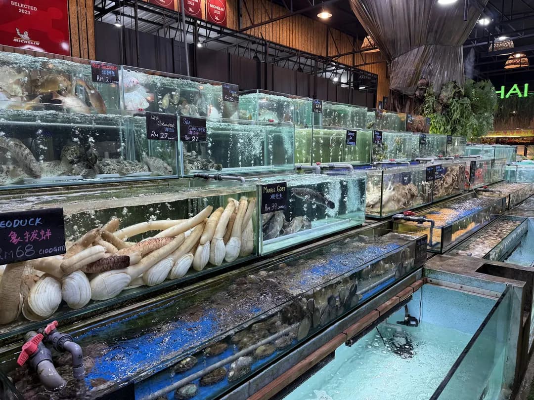 Bali Hai Seafood Market photo 2